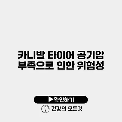 카니발 타이어 공기압 부족으로 인한 위험성