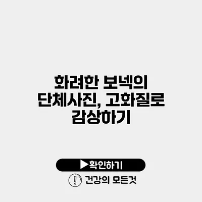 화려한 보넥의 단체사진, 고화질로 감상하기